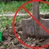 5 Razlogov ne kopajte tal ali kaj je koristna obdelava tal